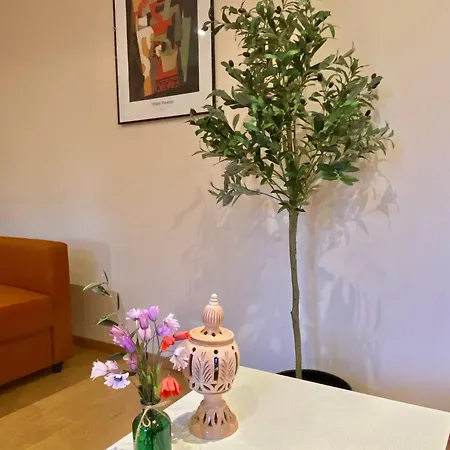 Great Flat! 10 Minute Walk From Train Station And Palais Apartment *