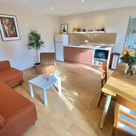 Apartment Great Flat! 10 Minute Walk From Train Station And Palais Cannes